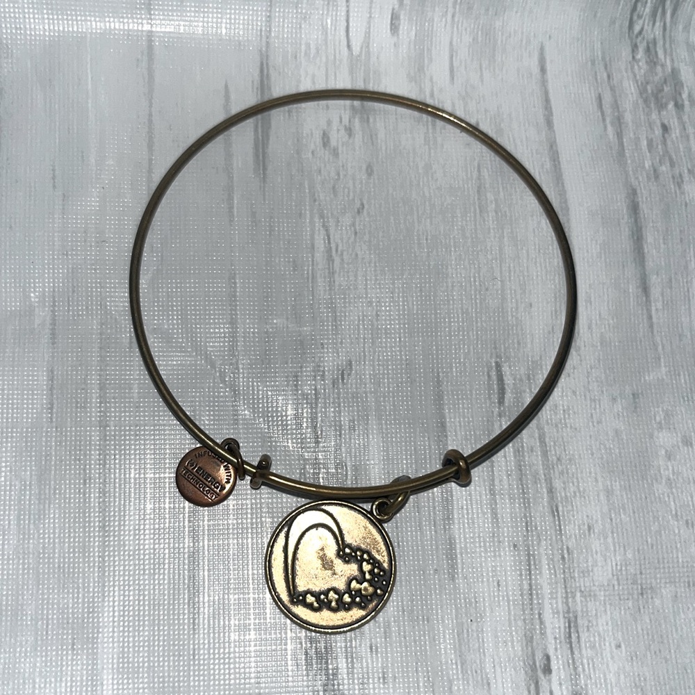 Alex & Ani bracelet
